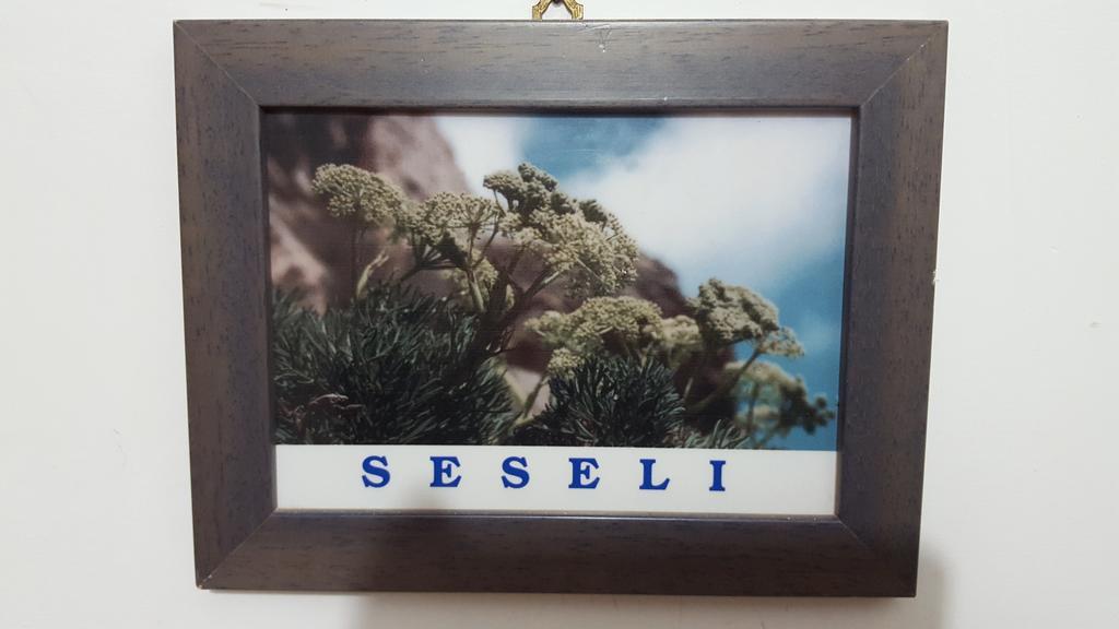 马里迪莫 Isoladelmiele酒店 外观 照片